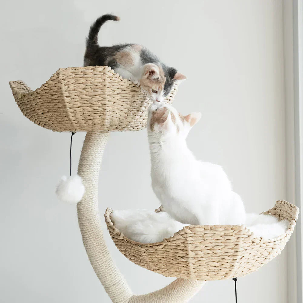 Modern designer cat tree with minimal aesthetic in contemporary living room