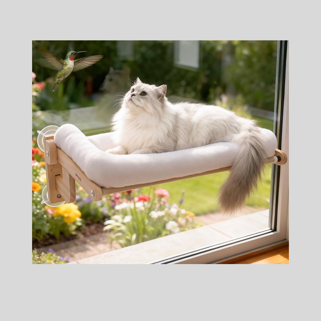 15 Cat-Friendly Interior Design Ideas For A Small Apartment