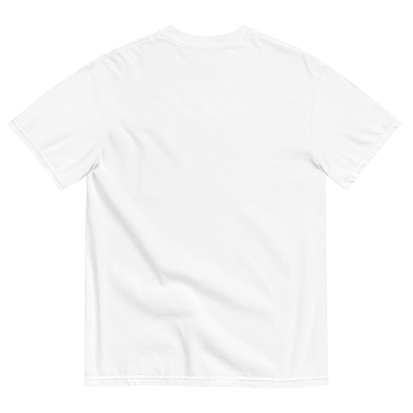 Plain white t-shirt on a white background